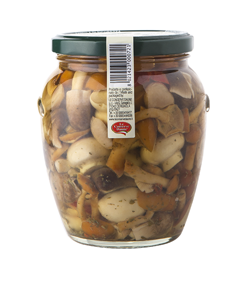 Funghi Misti Di Bosco Con Funghi Porcini