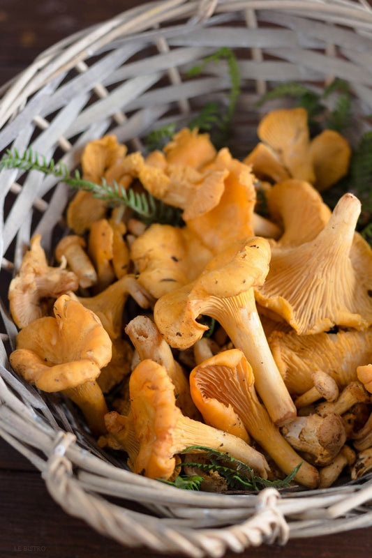 8a0e5183d631eb0863c5794d54651080