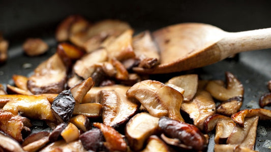 Funghi Misti Di Bosco Con Funghi Porcini