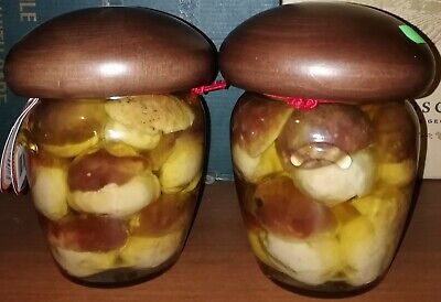 Funghi Porcini Interi In Vaso Orcio