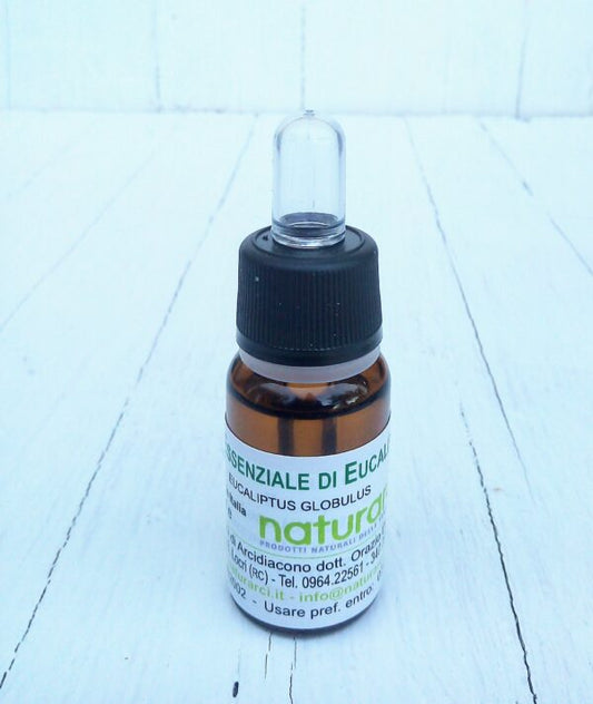 eucalipto