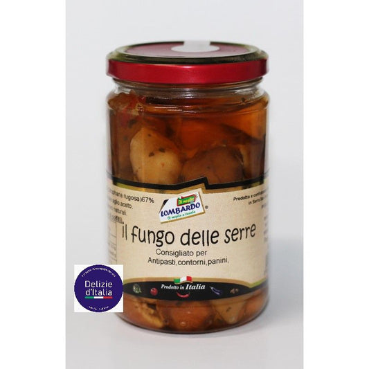 fungo-delle-serre