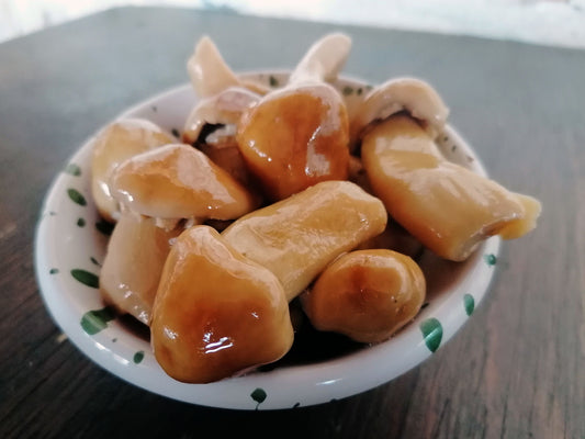 Fungo Porcinello Della Sila