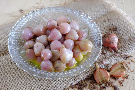 lampascioni_pugliesi