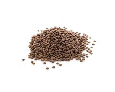 lenticchie-biologiche