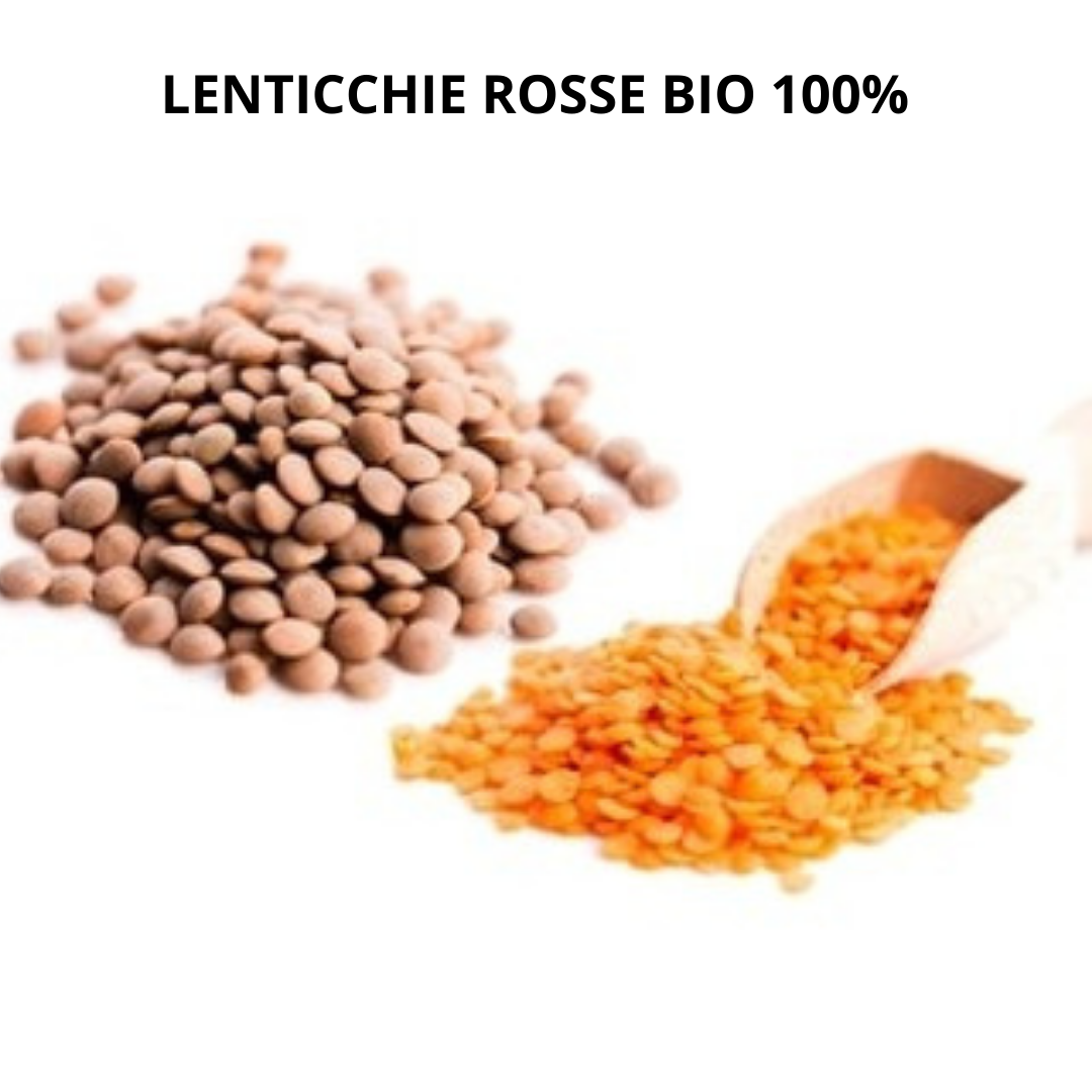 Lenticchie Rosse Bio – Delizie D'Italia