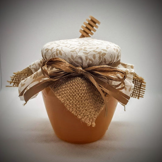 modello-27-tesori-delle-api