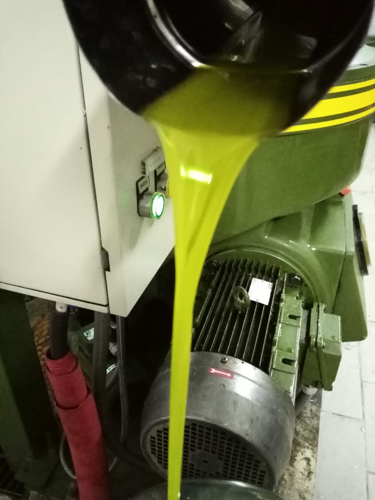 olio-finito