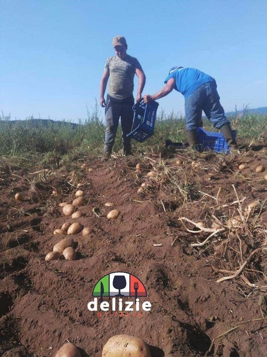 patate-aspromonte-canol