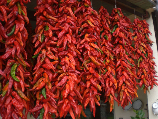 peperoncino