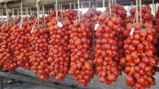 pomodoro-piennolo-vesuvio-coltivazione-1280x720