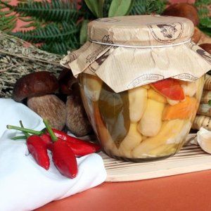 Fungo Porcinello Della Sila