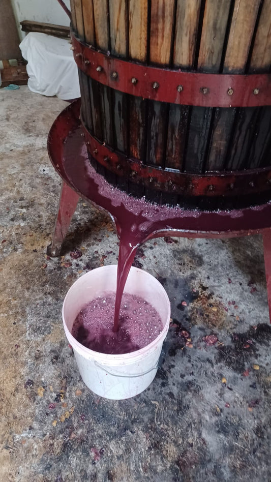 Vino Rosso Rosa Nascente Delizie D'italia Certificato