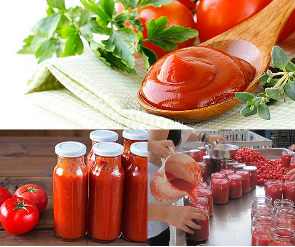 sugo