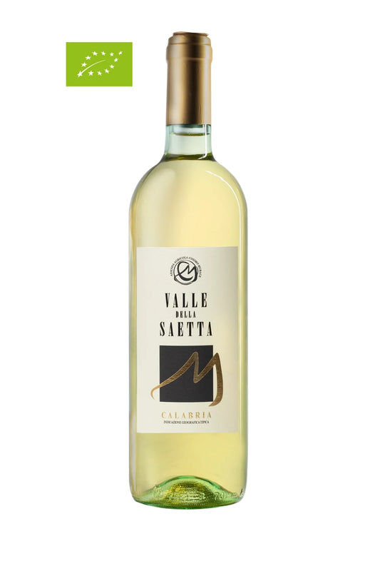 Vino Bianco Valle della Saetta Biologico