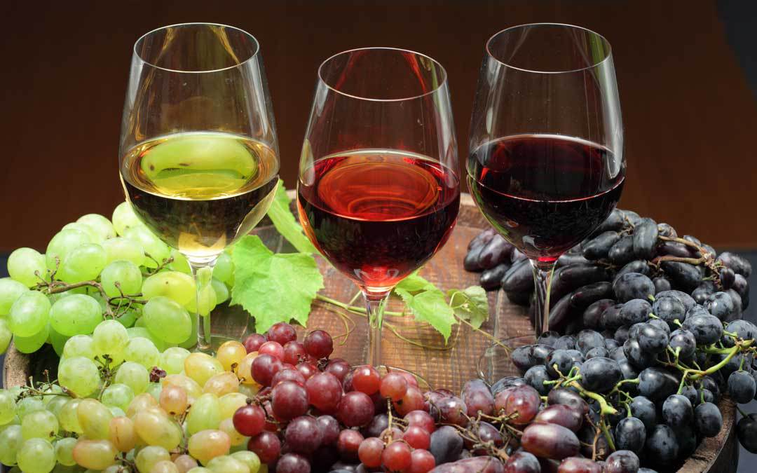 vino-1