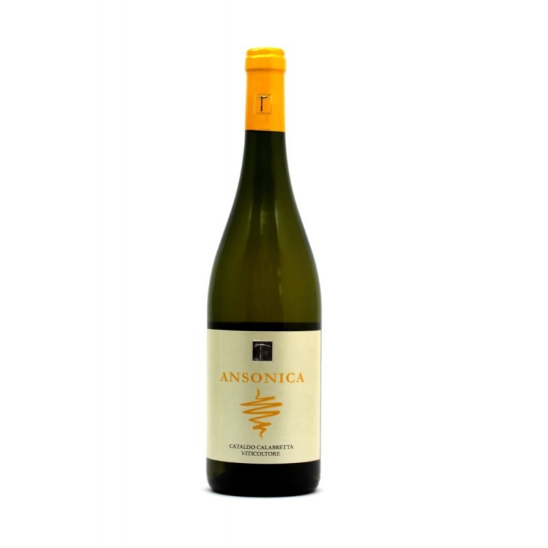 Vino Bianco IGT Biologico Ansonica