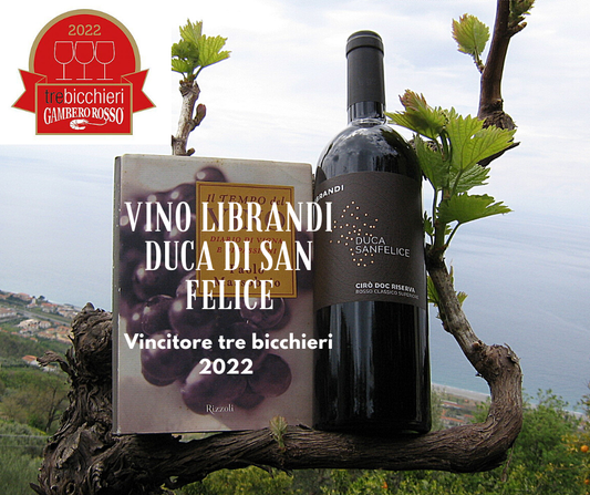 Vino Rosso Duca Sanfelice Riserva DOC Librandi