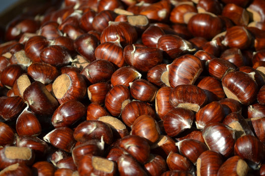 Castagne Calabresi