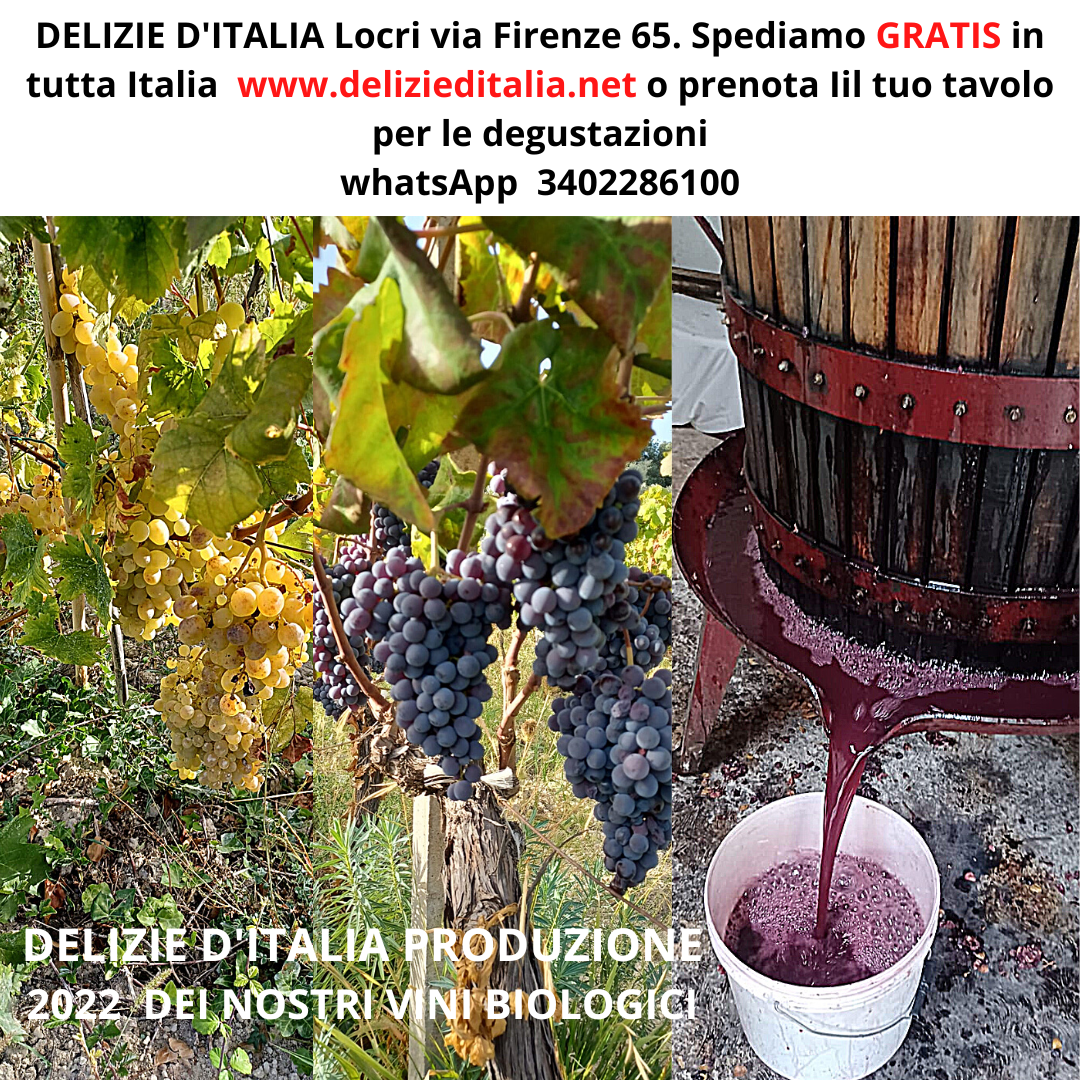 Vino Rosso Etna Delzie d'Italia